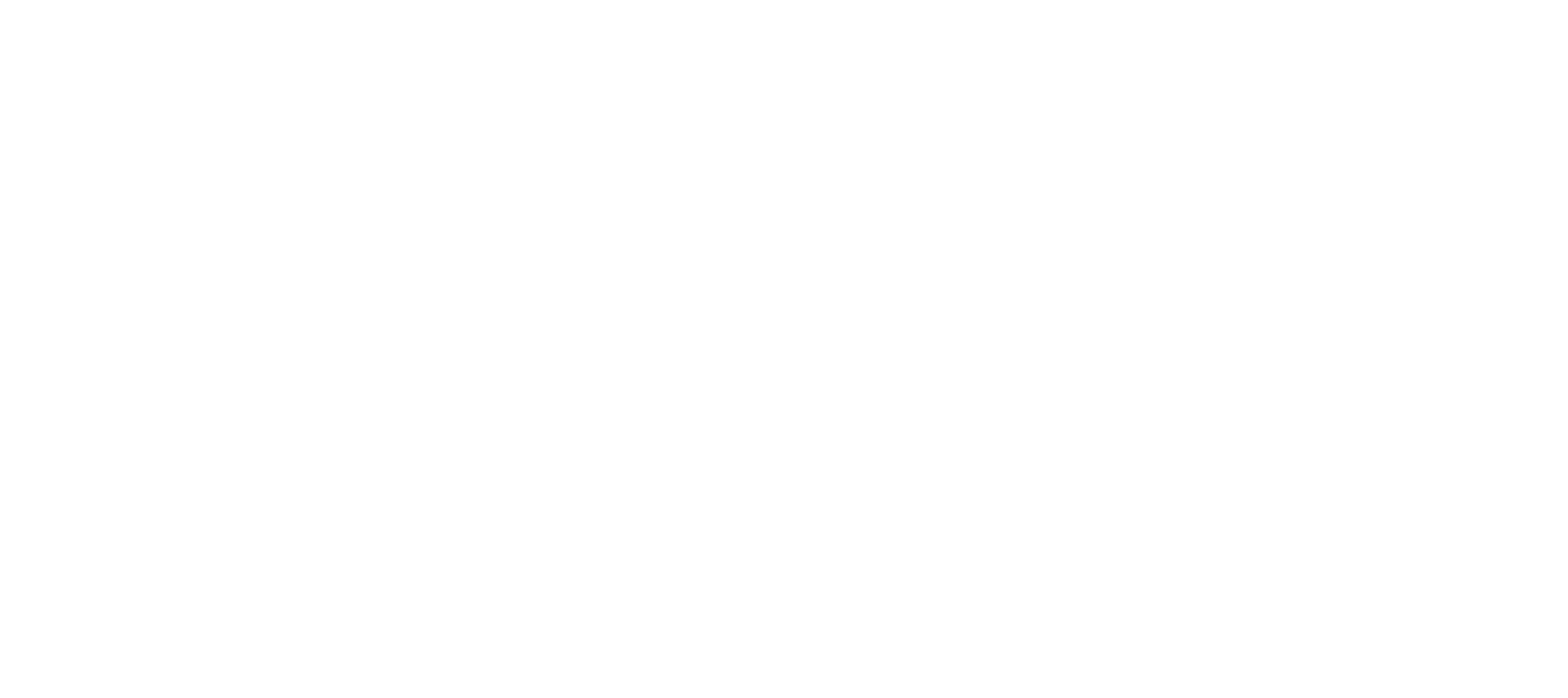 Fortem | AI Snapshot